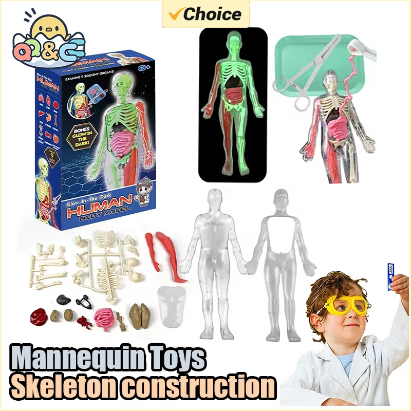 Modello didattico biologico di - Model Kit Fantasy recensione e prezzo